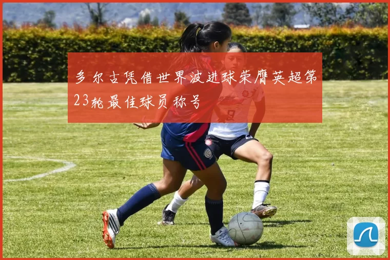 多尔古凭借世界波进球荣膺英超第23轮最佳球员称号