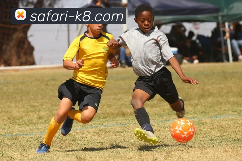 凯发娱乐发展历程